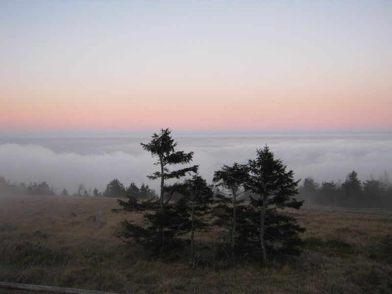 2009-10-29 Brocken (11) again